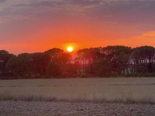 Can Massanet Llagostera Buitenkant foto